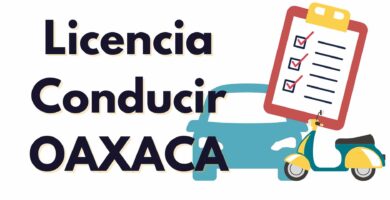 LICENCIA DIGITAL OAXACA