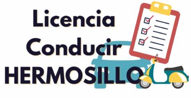 RENOVACIÓN LICENCIA DE CONDUCIR