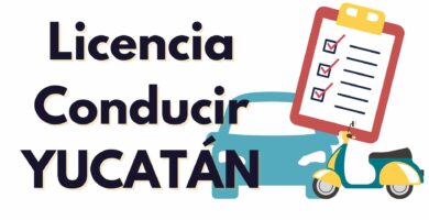 LICENCIA DE MANEJO