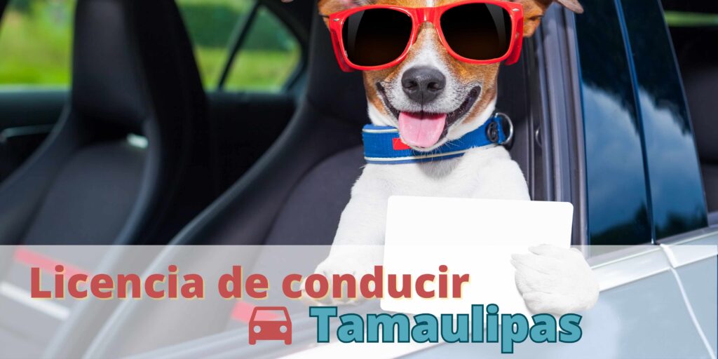 Licencia de conducir en Tamaulipas