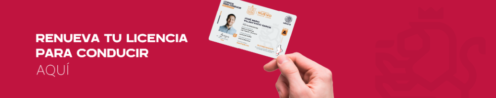 ¿Cómo puedo renovar la licencia de conducir en Nuevo León?